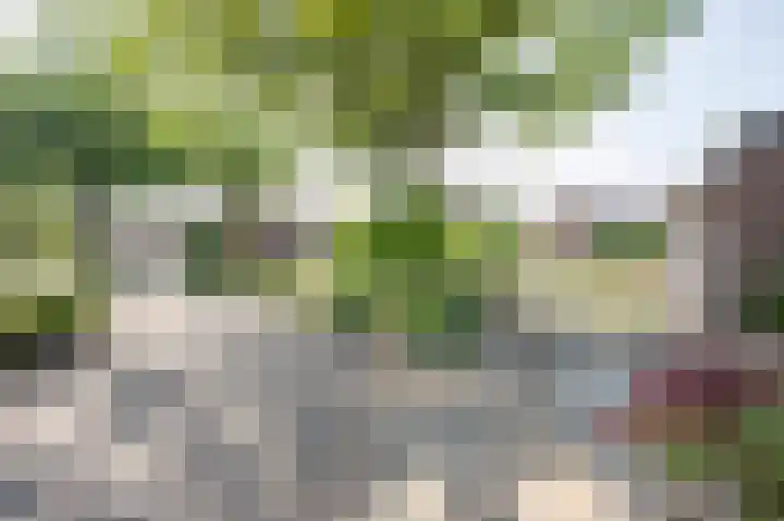 Gelders Overkwartier 10 Nieuwstadt thumbnail 8