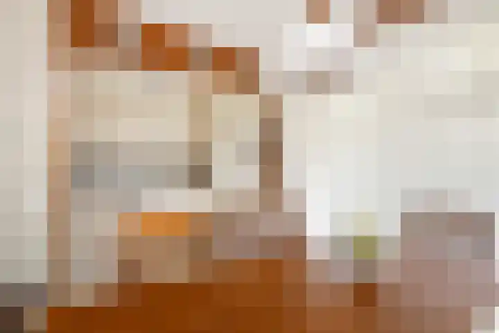 Gelders Overkwartier 2 Nieuwstadt thumbnail 16
