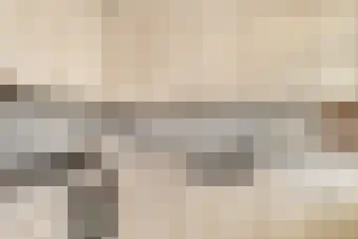 Gelders Overkwartier 2 Nieuwstadt thumbnail 17