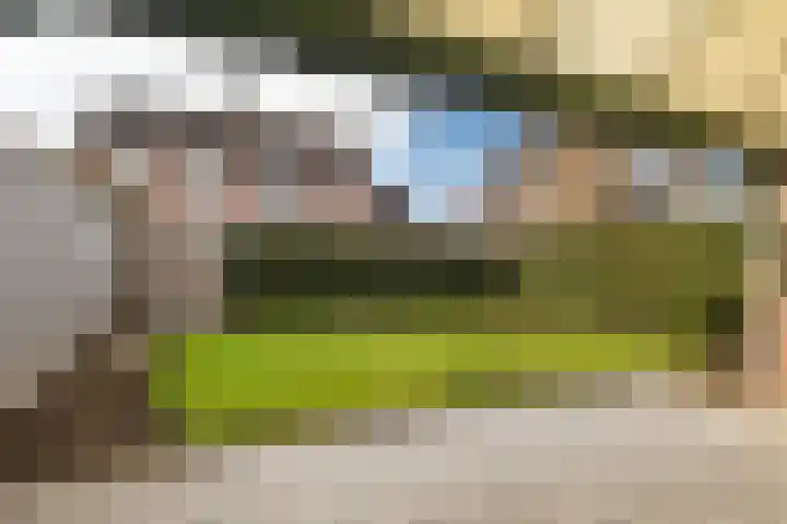 Gelders Overkwartier 2 Nieuwstadt thumbnail 26