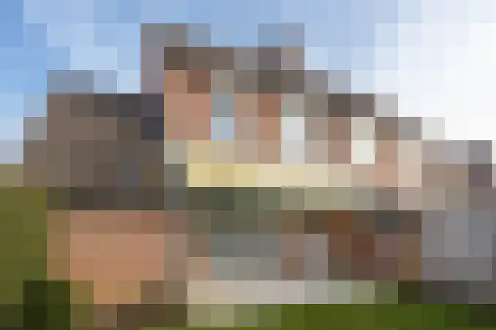 Gelders Overkwartier 2 Nieuwstadt thumbnail 28