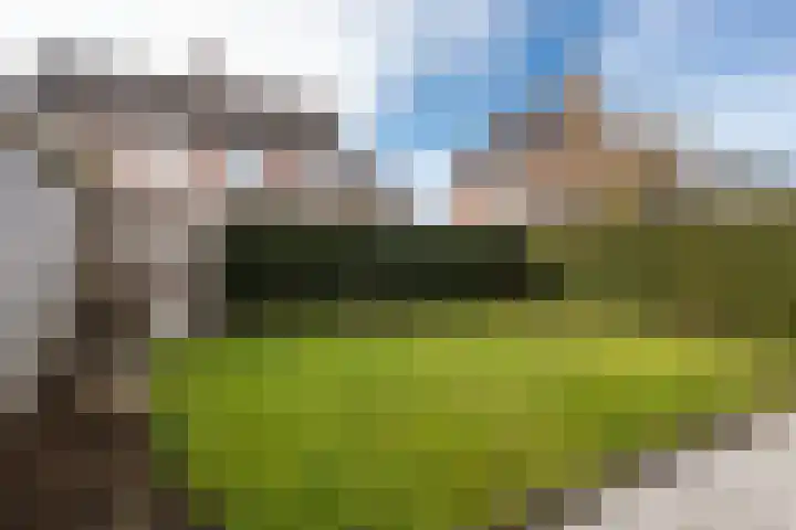 Gelders Overkwartier 2 Nieuwstadt thumbnail 6