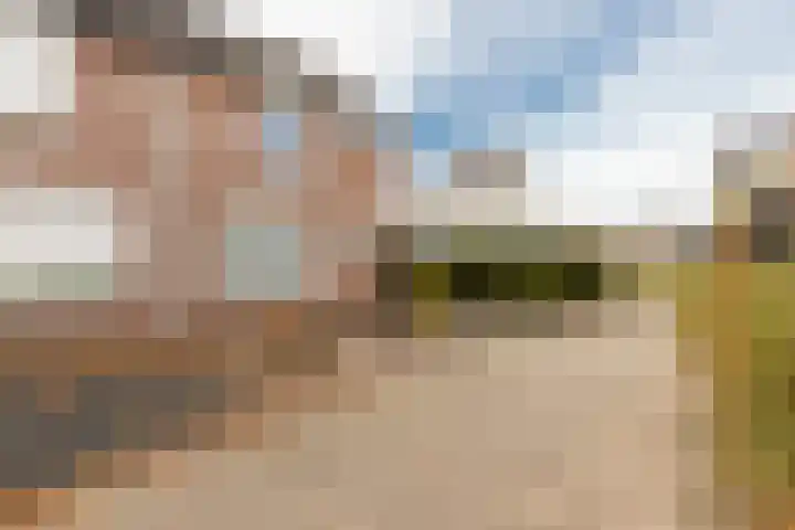 Gelders Overkwartier 2 Nieuwstadt thumbnail 7