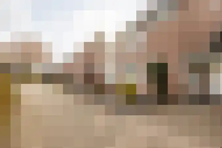 Gelders Overkwartier 2 Nieuwstadt thumbnail 8