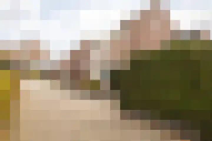Gelders Overkwartier 2 Nieuwstadt thumbnail 9