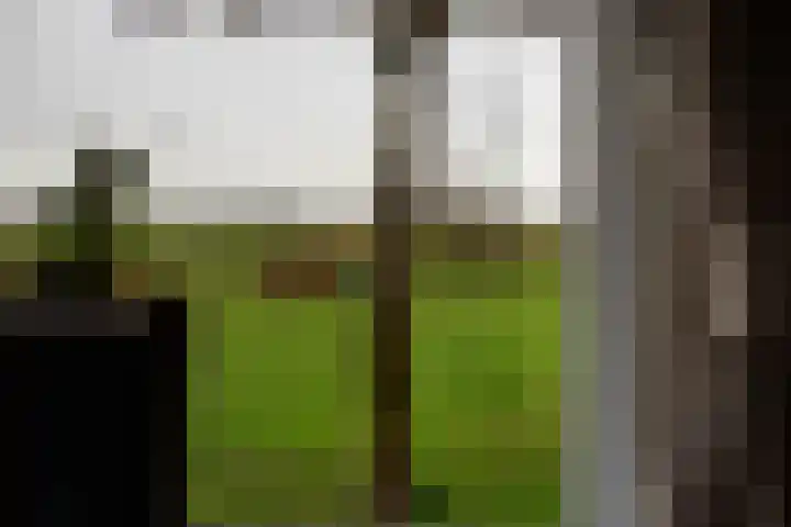 Gelderse Kade 5 A Zalk thumbnail 11