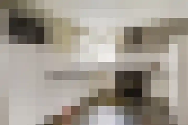 Gelderse Kade 5 A Zalk thumbnail 16