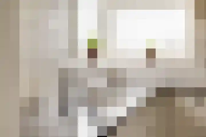 Gelderse Kade 5 A Zalk thumbnail 18