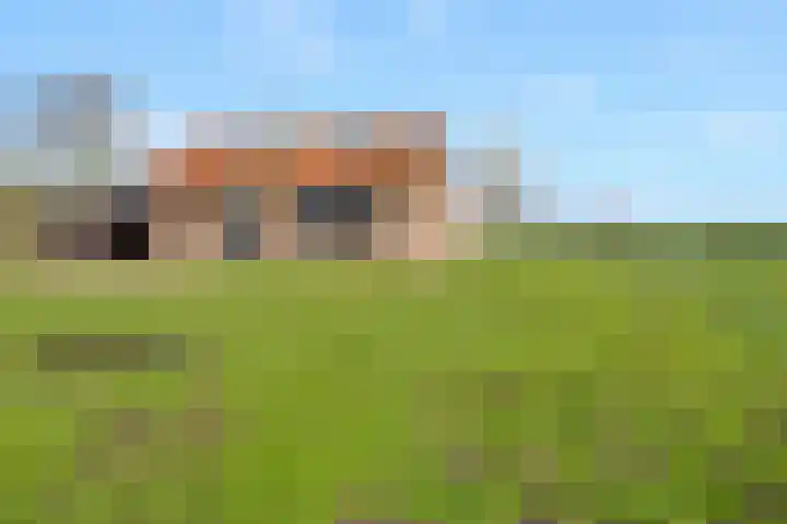 Gelderse Kade 5 A Zalk thumbnail 37