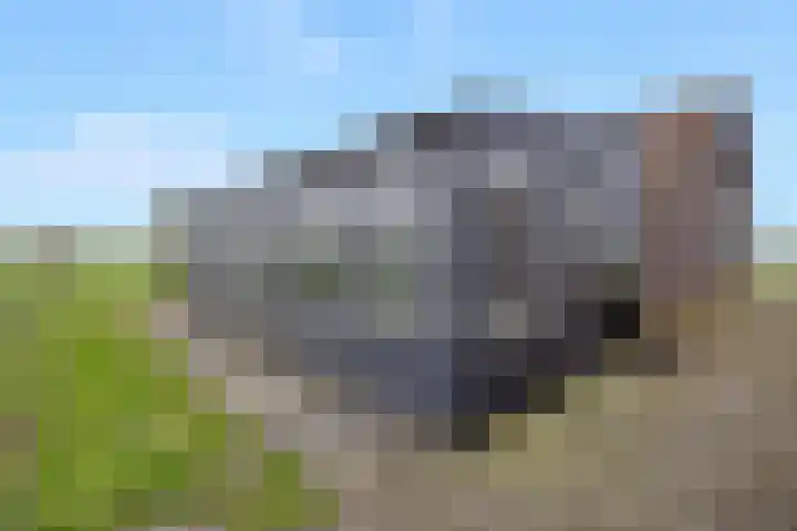 Gelderse Kade 5 A Zalk thumbnail 39