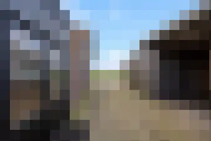 Gelderse Kade 5 A Zalk thumbnail 41