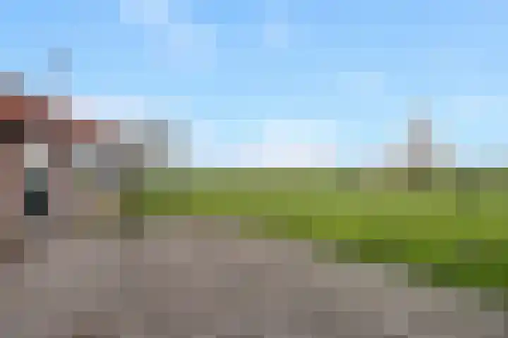 Gelderse Kade 5 A Zalk thumbnail 43