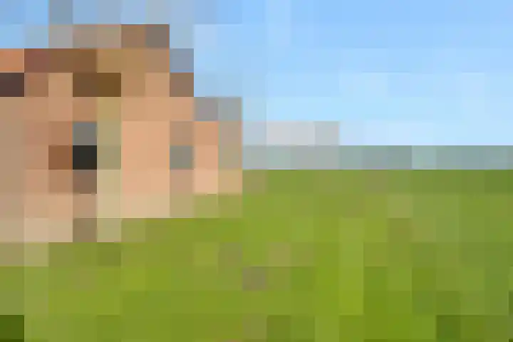 Gelderse Kade 5 A Zalk thumbnail 44