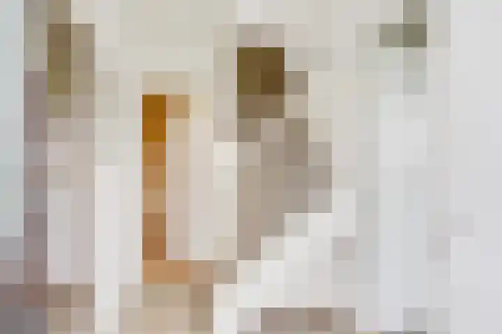 Gelderse Kade 5 A Zalk thumbnail 5
