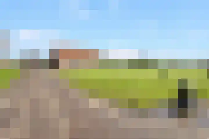Gelderse Kade 5 A Zalk thumbnail 53