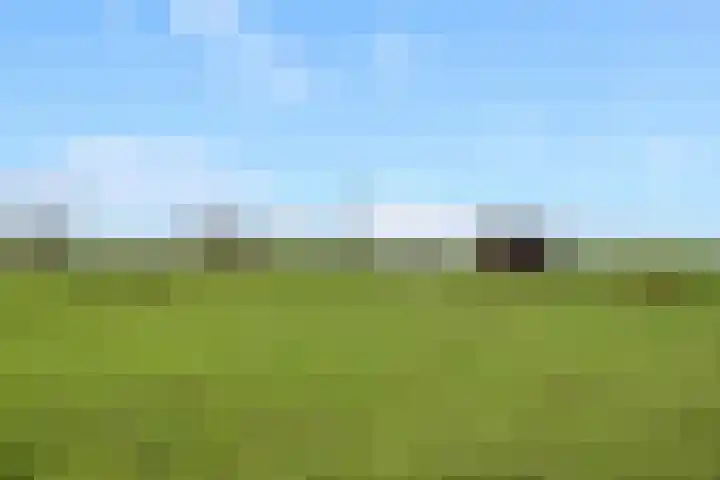 Gelderse Kade 5 A Zalk thumbnail 54