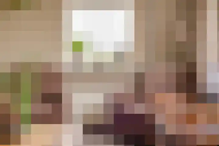 Gelderse Kade 5 A Zalk thumbnail 9