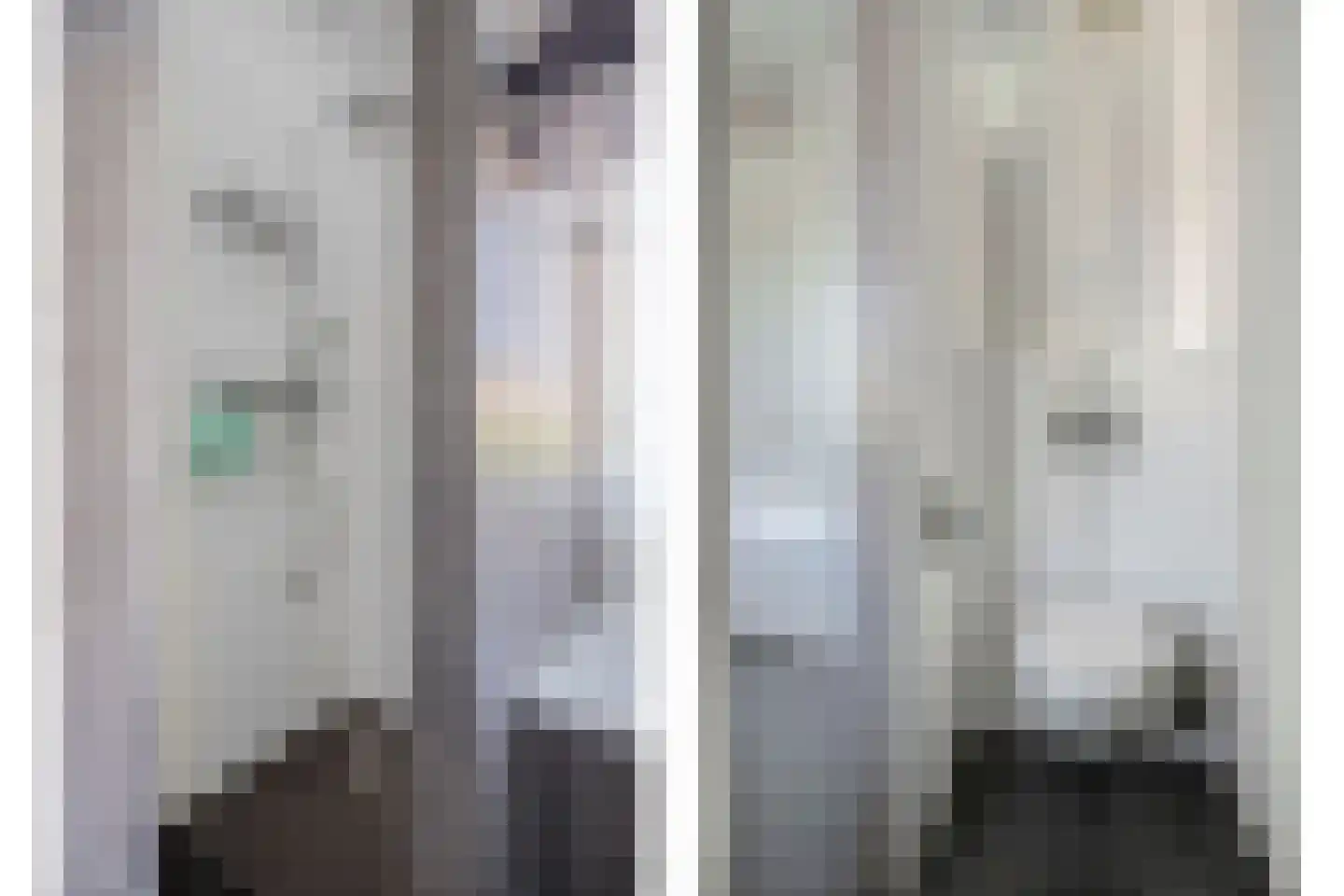 Gelderse Roos 101 Scherpenzeel thumbnail 14