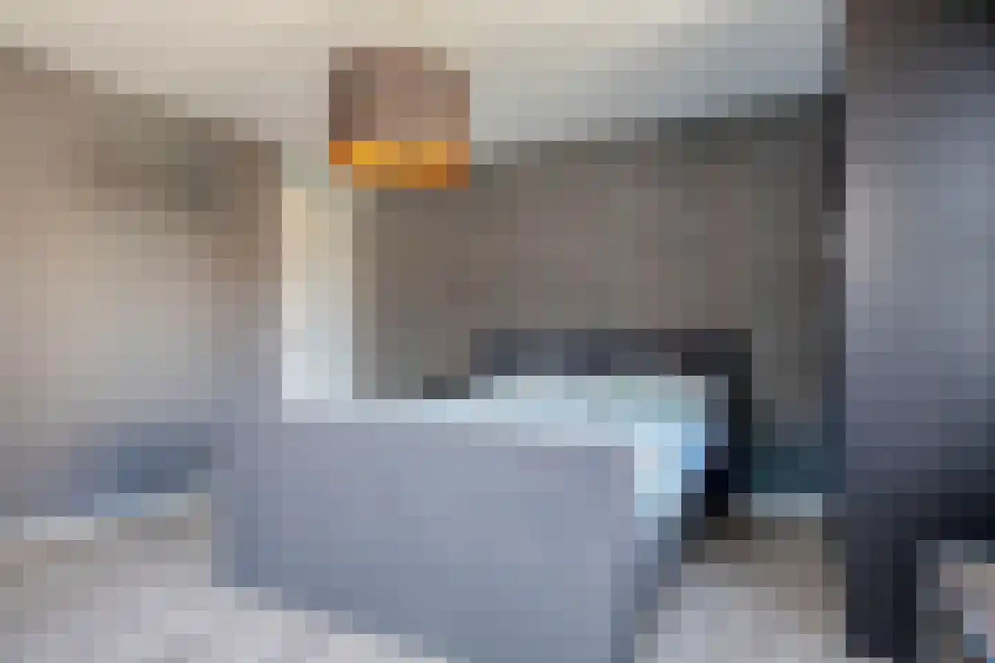 Gelderse Roos 101 Scherpenzeel thumbnail 15