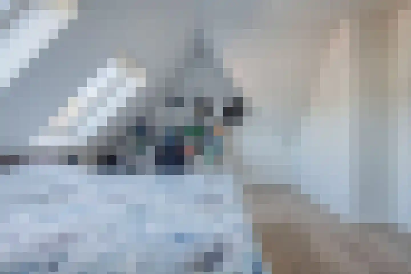 Gelderse Roos 101 Scherpenzeel thumbnail 21