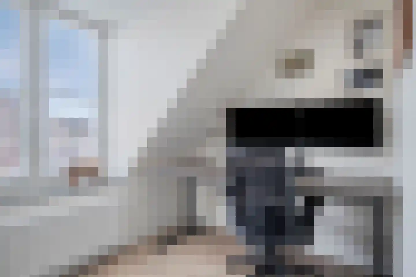 Gelderse Roos 101 Scherpenzeel thumbnail 22
