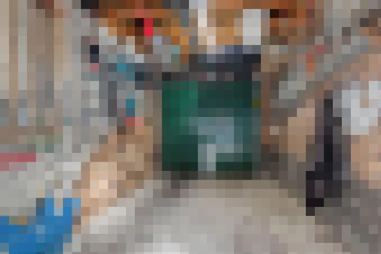 Gelderse Roos 101 Scherpenzeel thumbnail 25