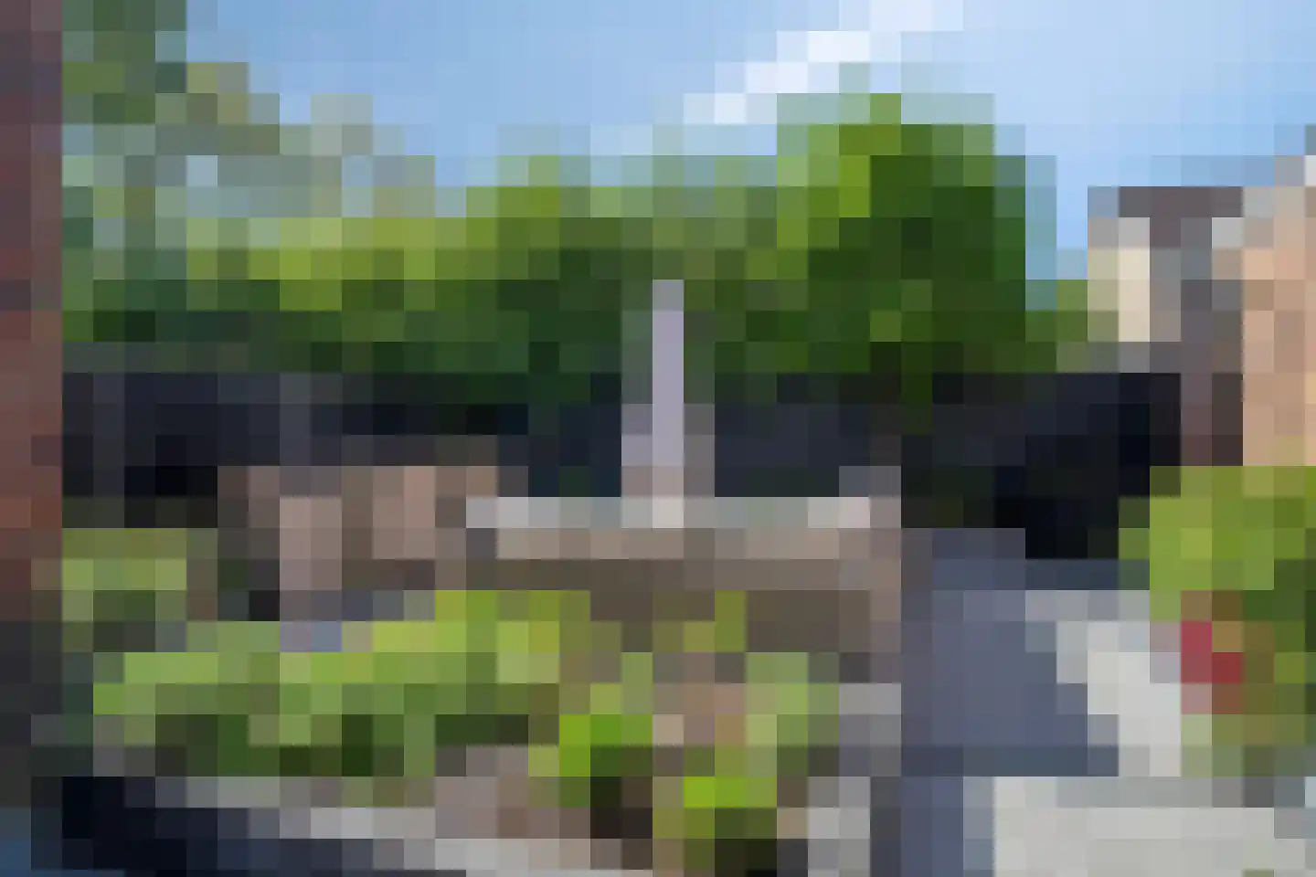 Gelderse Roos 101 Scherpenzeel foto 3
