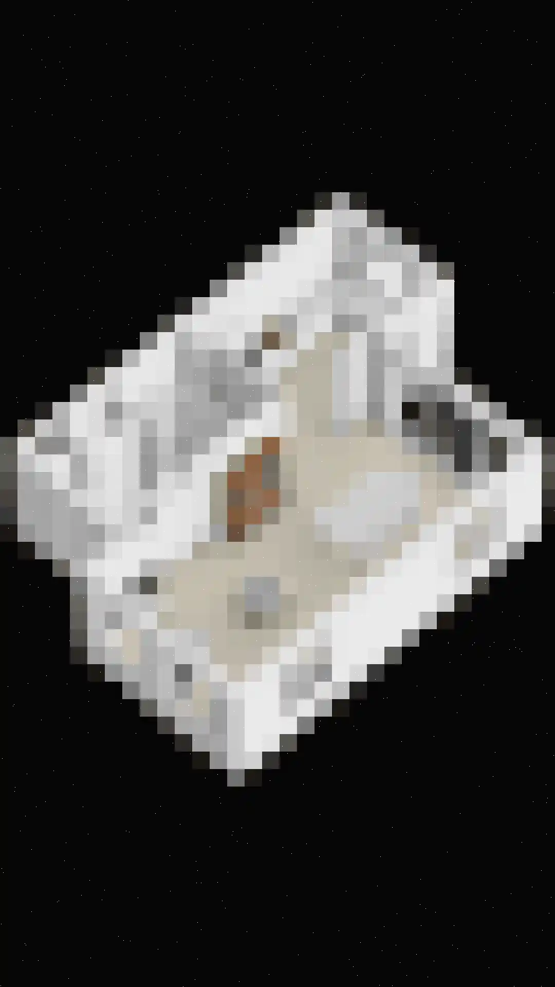 Gelderse Roos 101 Scherpenzeel thumbnail 34