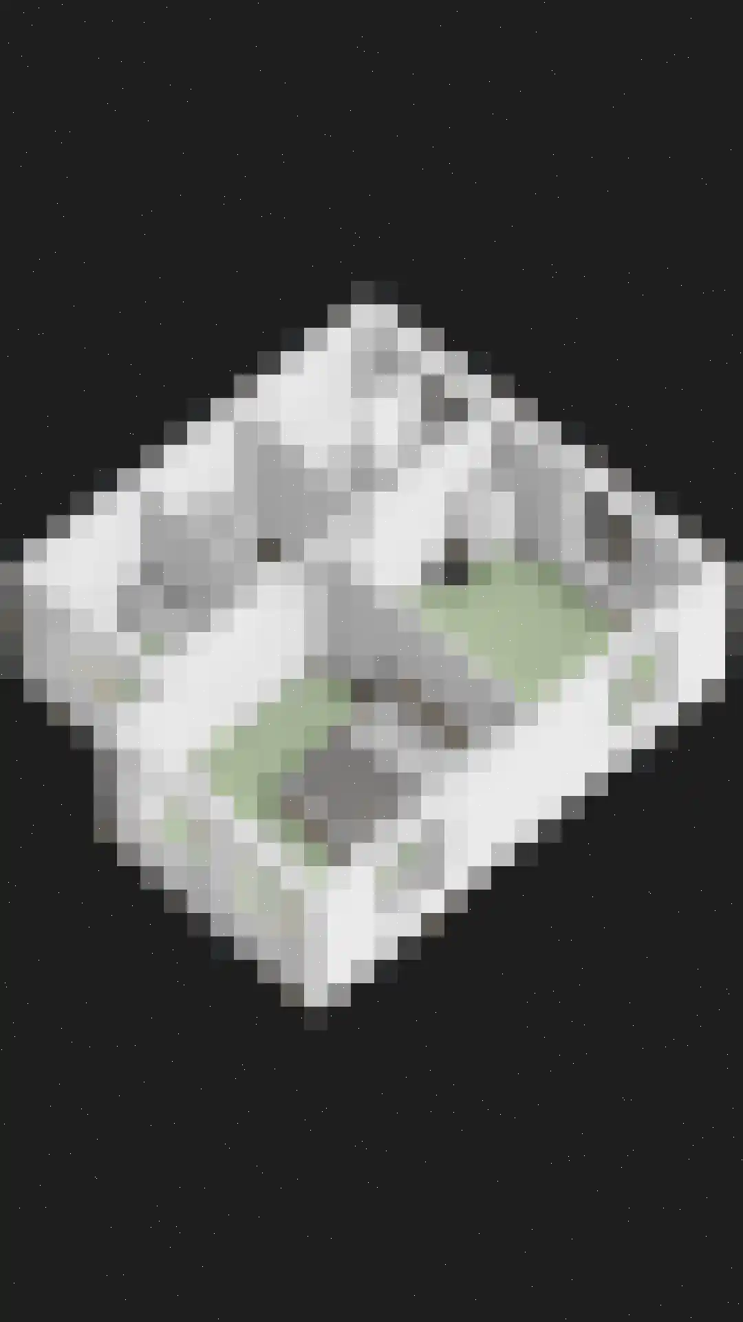 Gelderse Roos 101 Scherpenzeel thumbnail 35