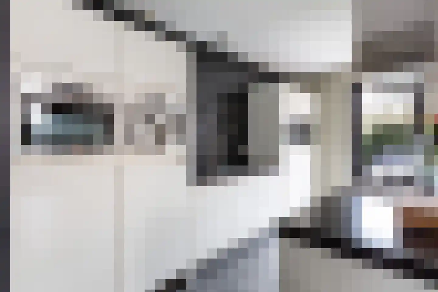 Gelderse Roos 109 Scherpenzeel thumbnail 14