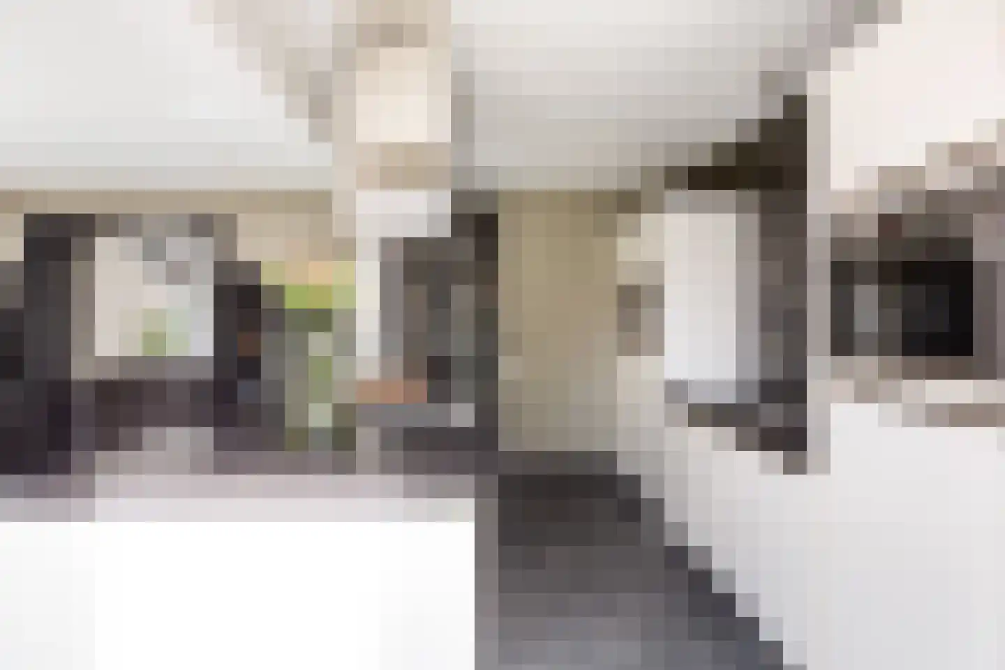 Gelderse Roos 109 Scherpenzeel thumbnail 15