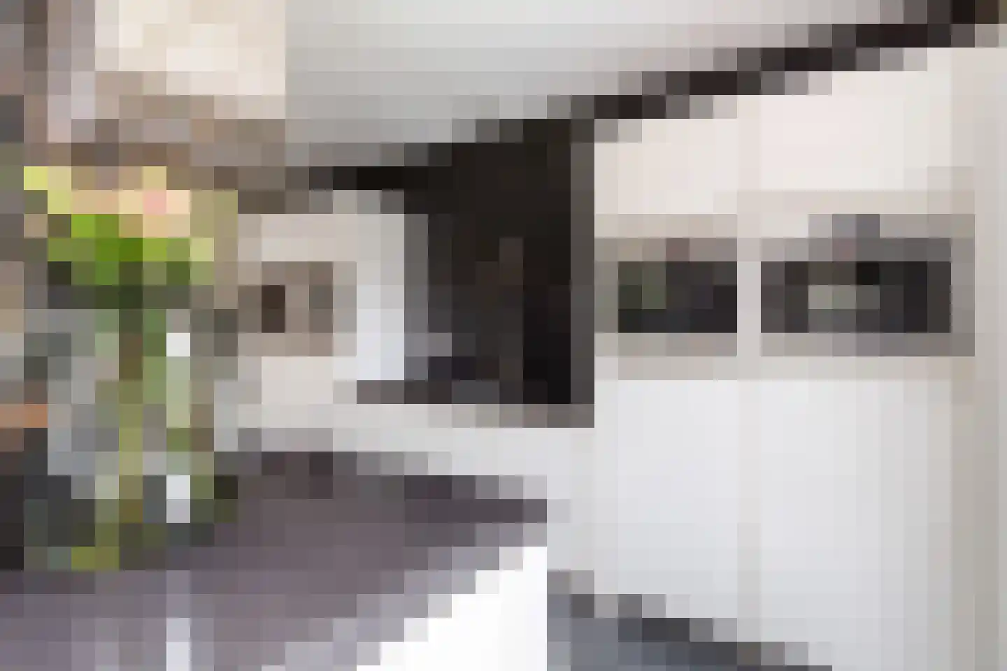 Gelderse Roos 109 Scherpenzeel thumbnail 16
