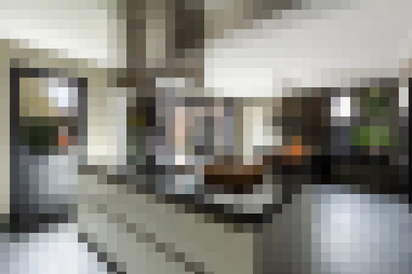 Gelderse Roos 109 Scherpenzeel thumbnail 18
