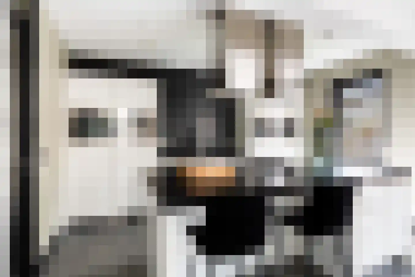 Gelderse Roos 109 Scherpenzeel thumbnail 19