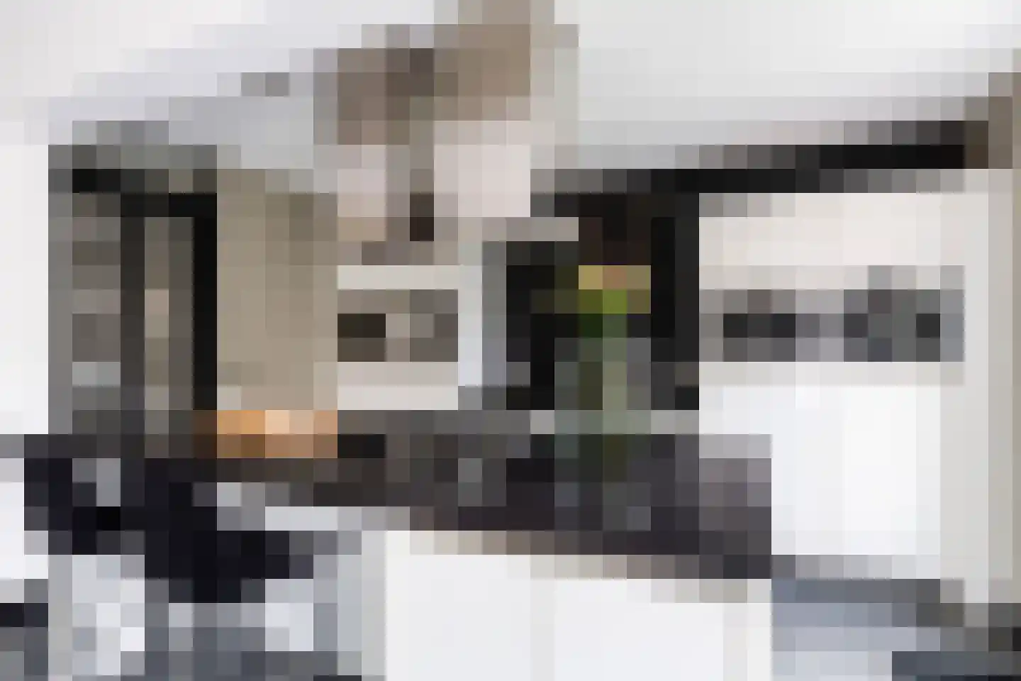 Gelderse Roos 109 Scherpenzeel thumbnail 20