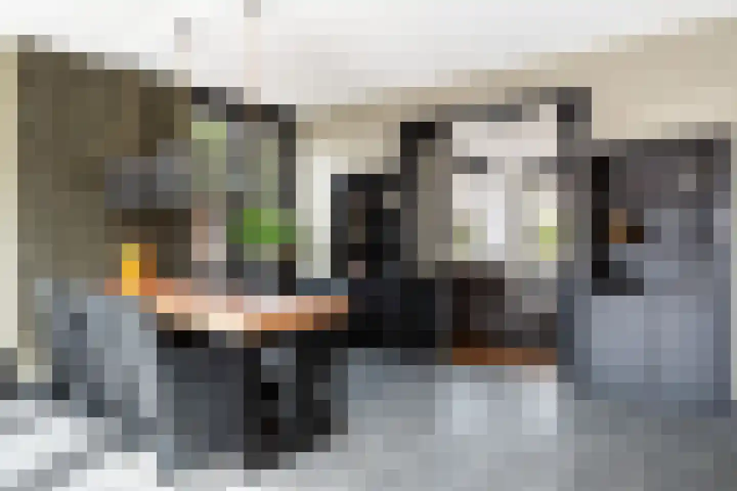 Gelderse Roos 109 Scherpenzeel thumbnail 21
