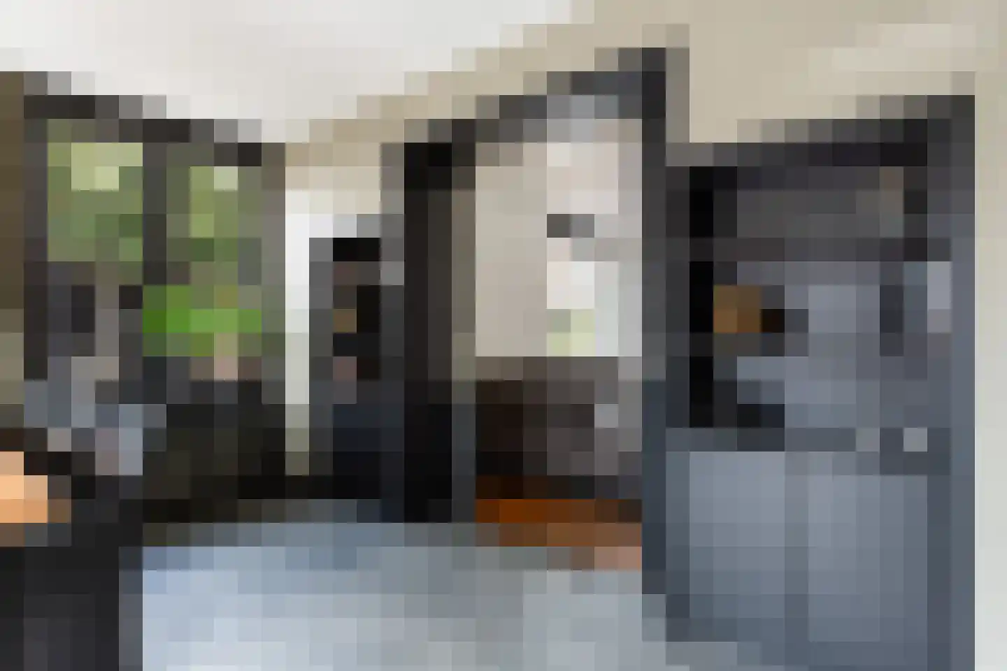 Gelderse Roos 109 Scherpenzeel thumbnail 24