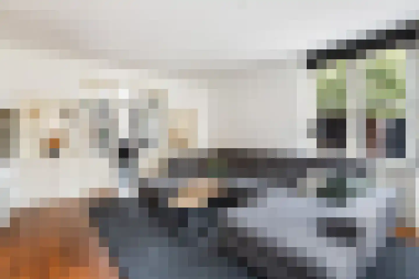 Gelderse Roos 109 Scherpenzeel thumbnail 25