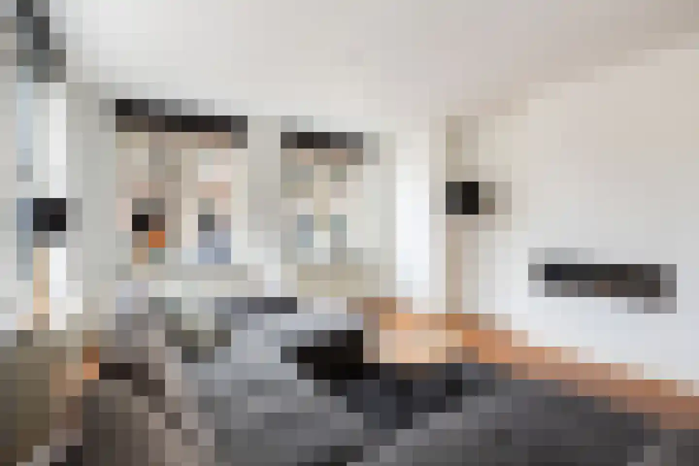 Gelderse Roos 109 Scherpenzeel thumbnail 27