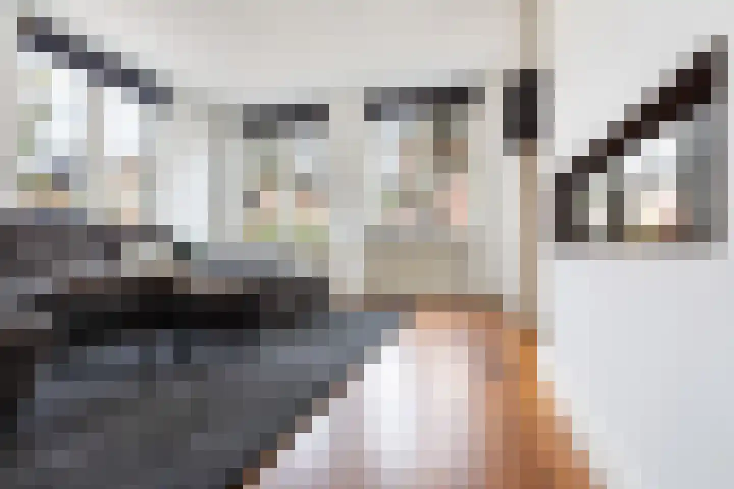 Gelderse Roos 109 Scherpenzeel thumbnail 28