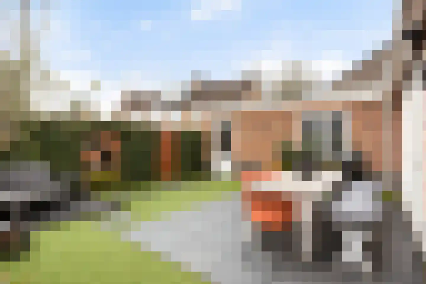 Gelderse Roos 109 Scherpenzeel thumbnail 32