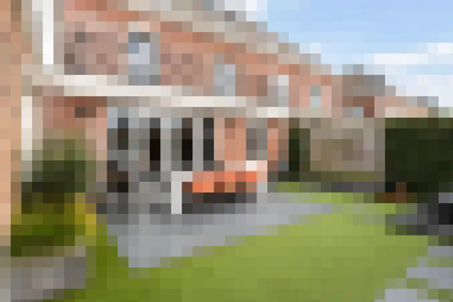 Gelderse Roos 109 Scherpenzeel thumbnail 34