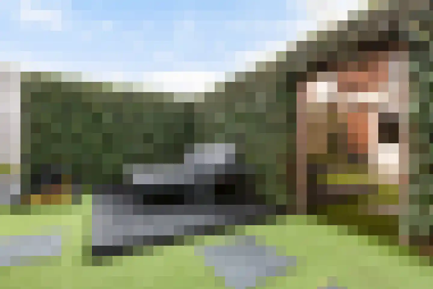 Gelderse Roos 109 Scherpenzeel thumbnail 36
