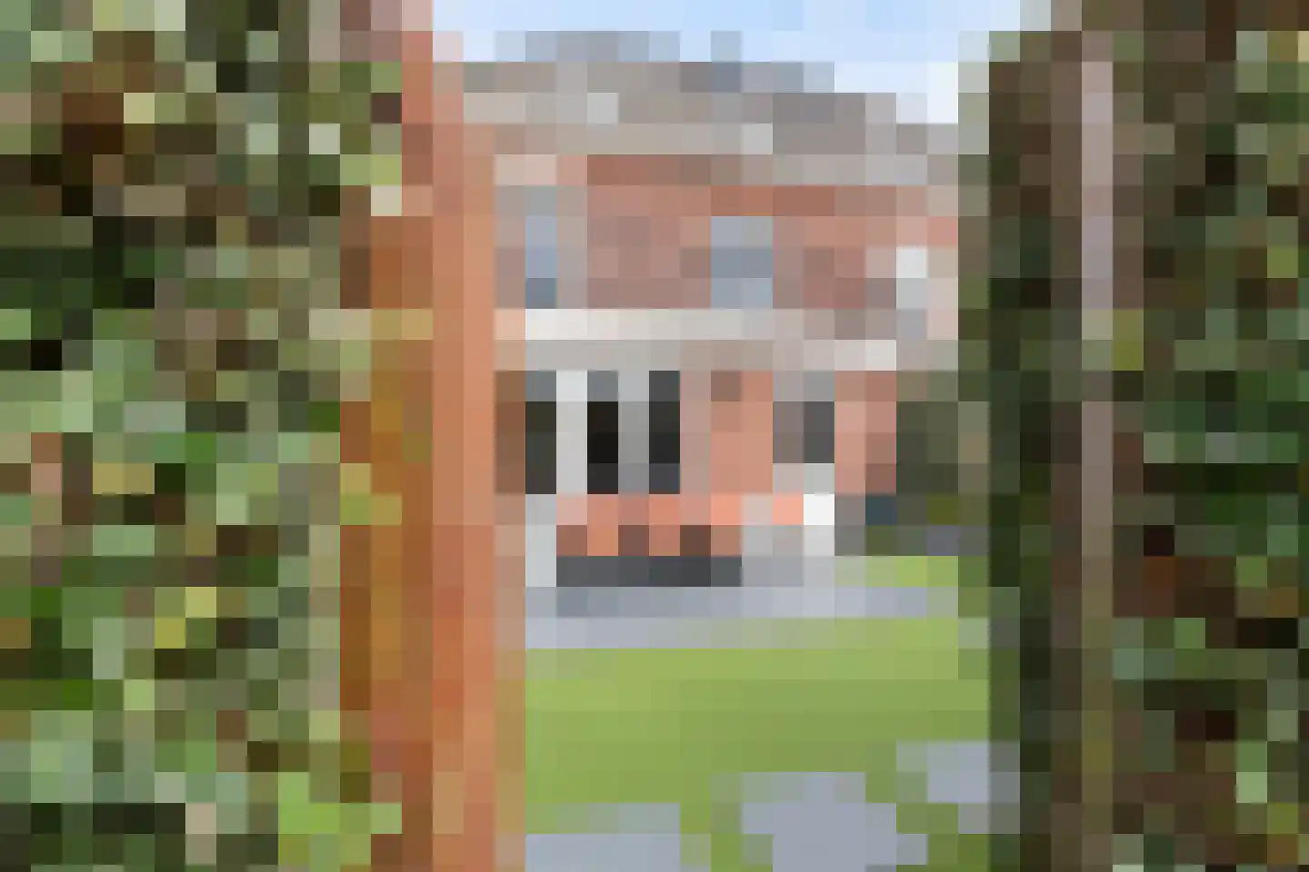 Gelderse Roos 109 Scherpenzeel thumbnail 38