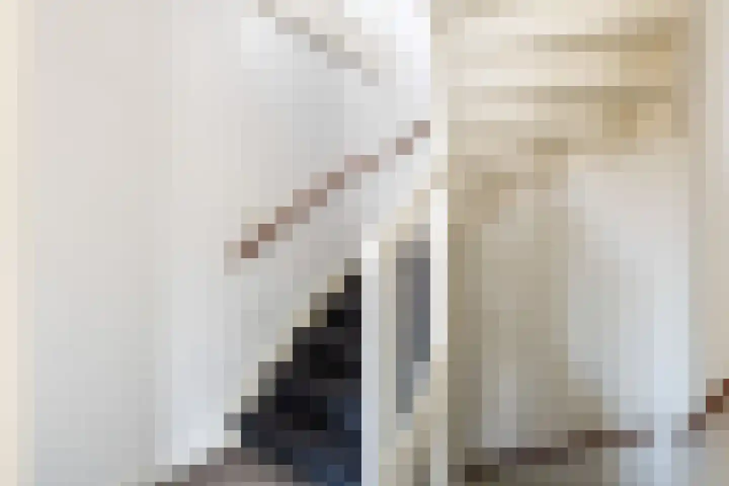 Gelderse Roos 109 Scherpenzeel thumbnail 39