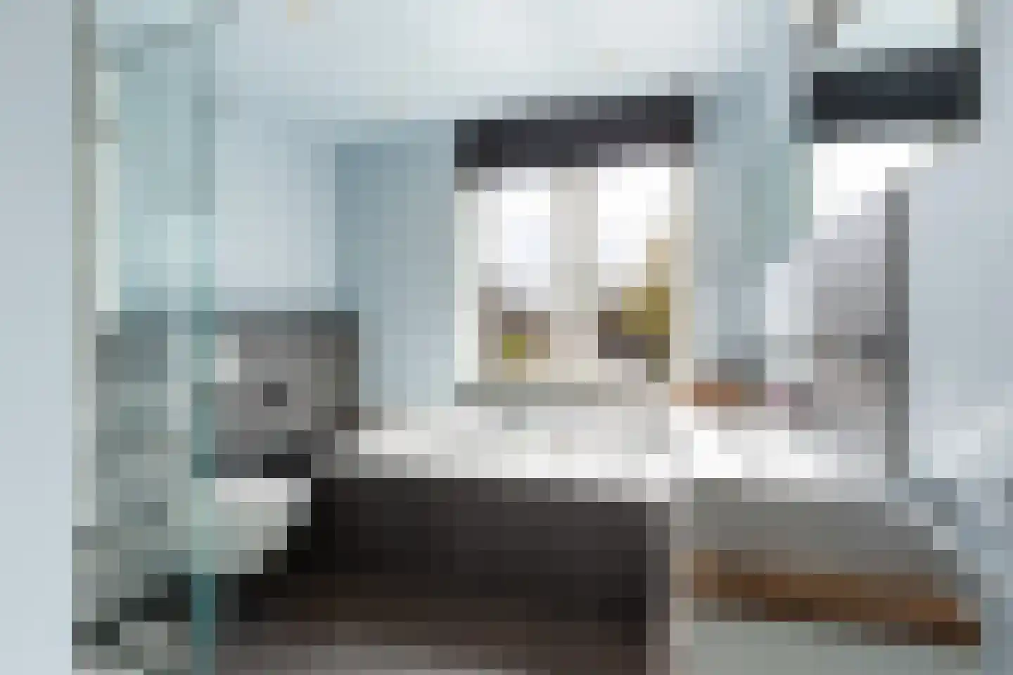 Gelderse Roos 109 Scherpenzeel thumbnail 4