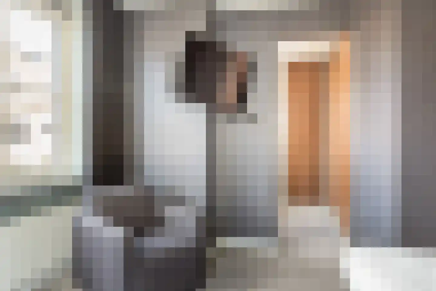 Gelderse Roos 109 Scherpenzeel thumbnail 41