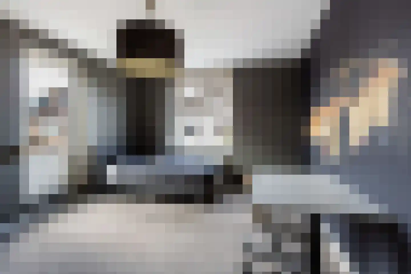 Gelderse Roos 109 Scherpenzeel thumbnail 44