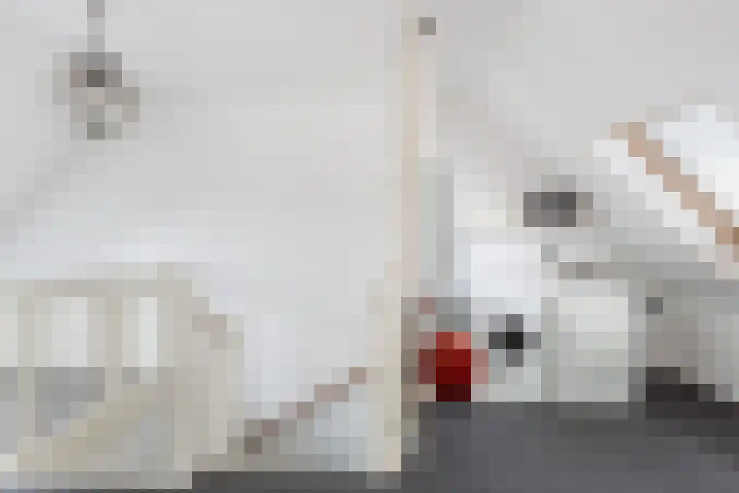 Gelderse Roos 109 Scherpenzeel thumbnail 53