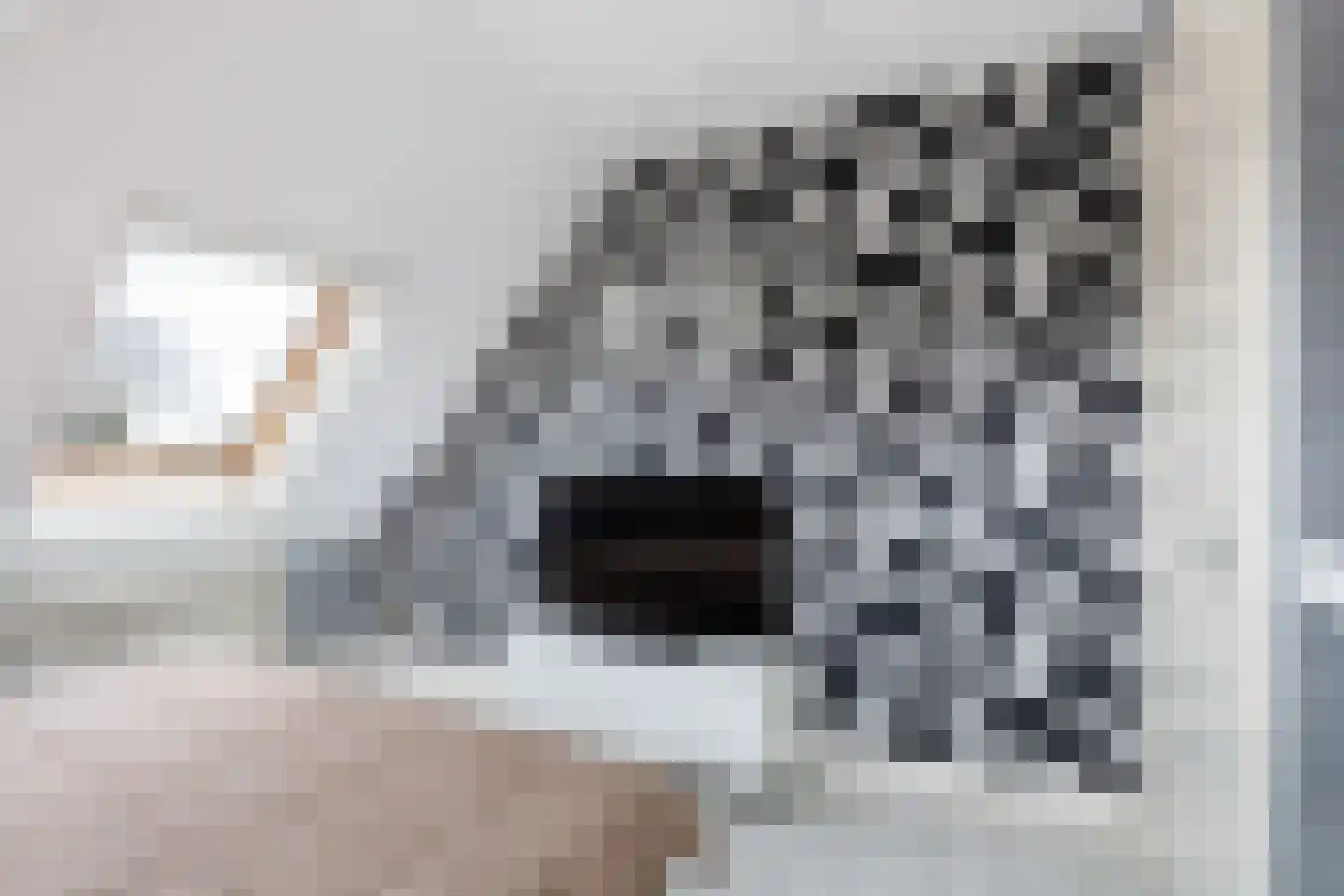 Gelderse Roos 109 Scherpenzeel thumbnail 58